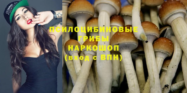 прущие крисы Кадников